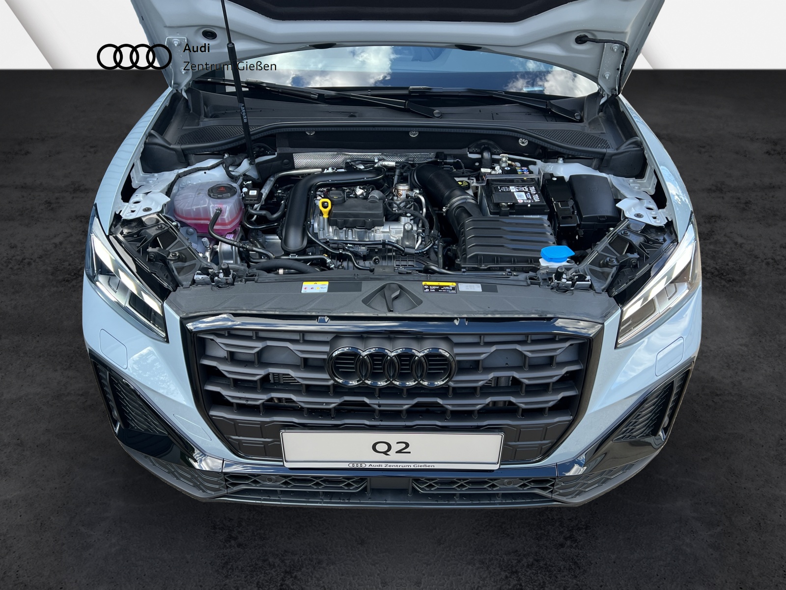 Q2 30 TFSI S line Black MATRIX-LED Navi Assistenzpaket