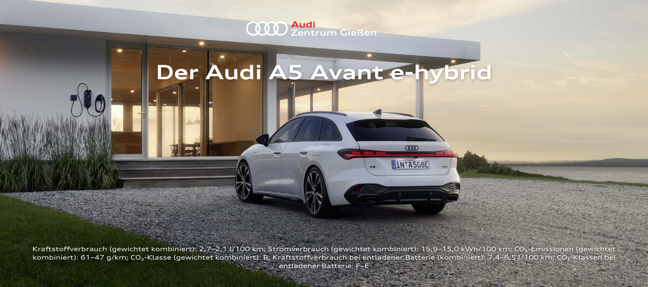 A5 e-hybrid banner(1)