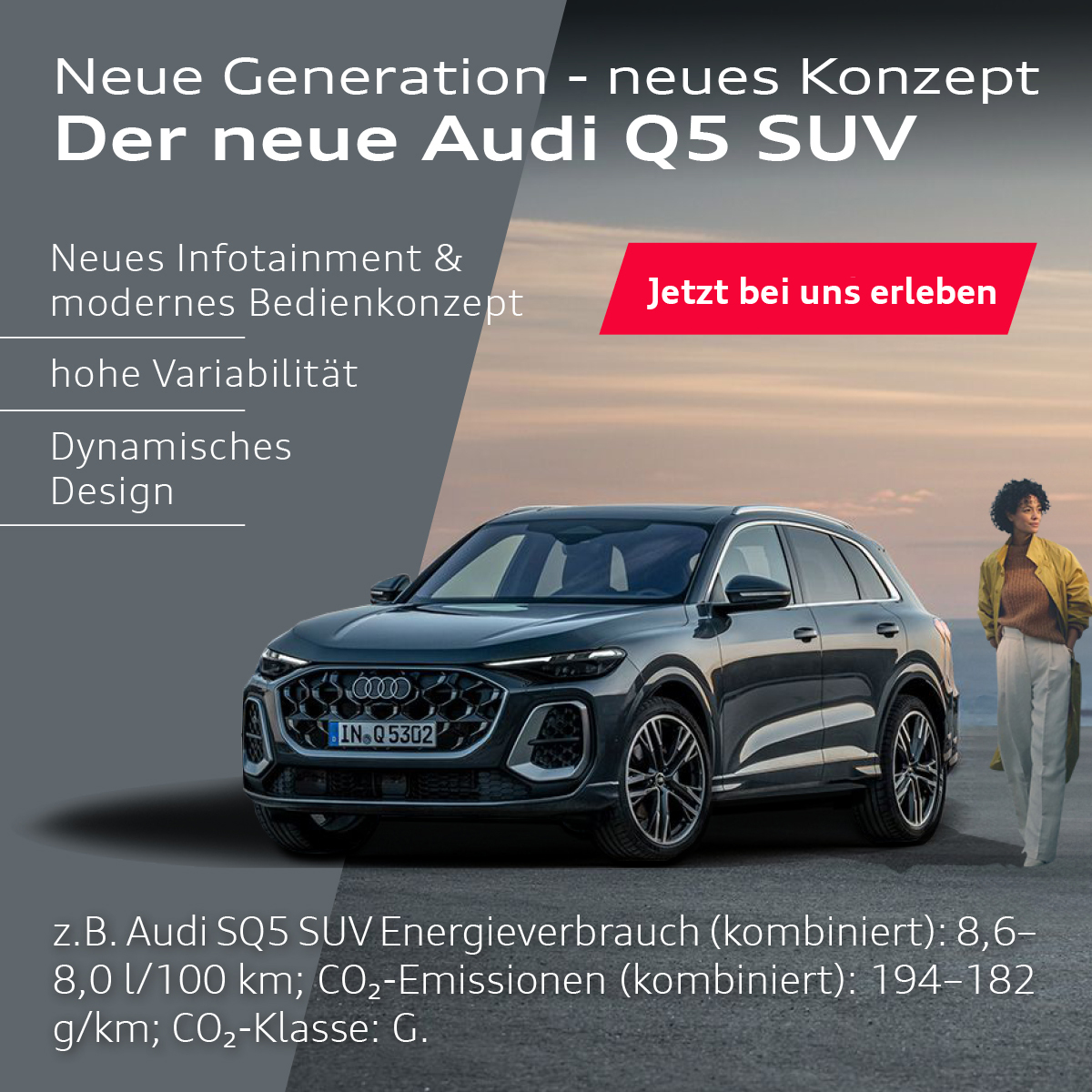 BB-Online-AudiQ5-big-3